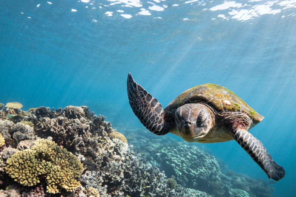 West Coast & Ningaloo Reef Adventure (Southbound)