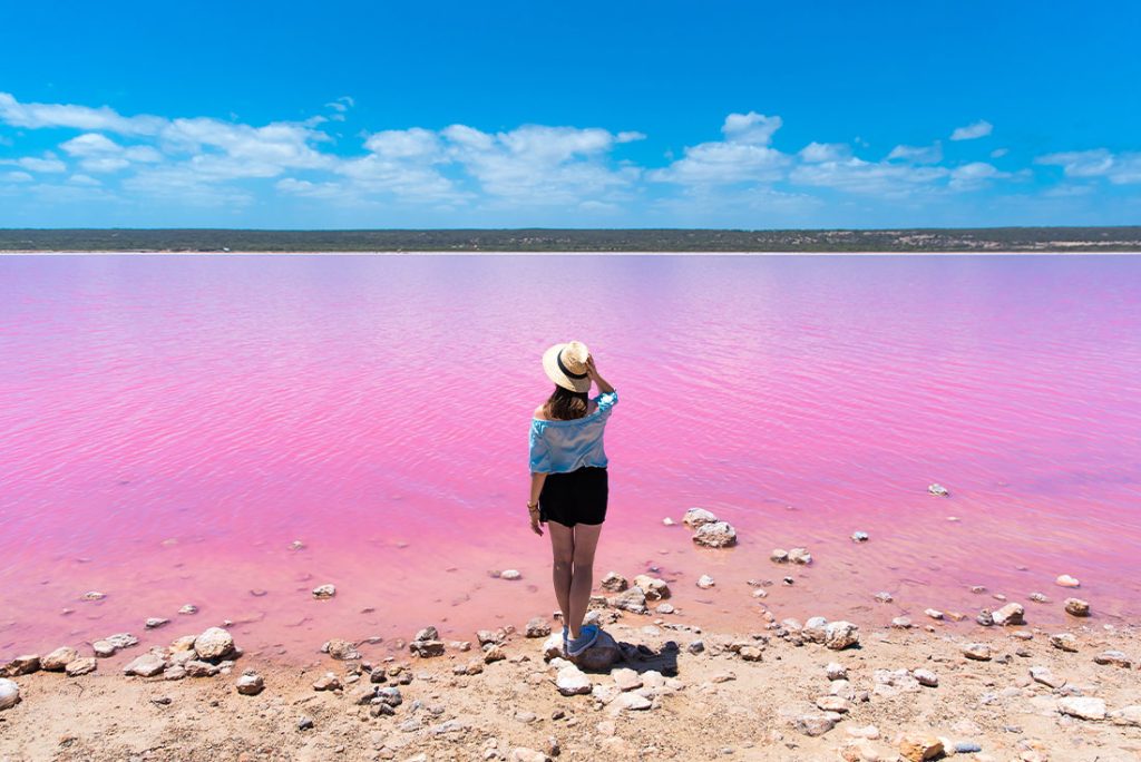 West Coast & Ningaloo Reef Adventure (Northbound)